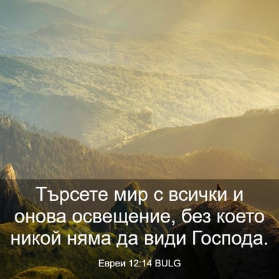 Picture 03 - Евреи 12:14 BULG - Търсете мир с всички и - Bible Verse Picture