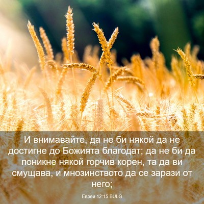 Picture 03 - Евреи 12:15 BULG - И внимавайте, да не би - Bible Verse Picture