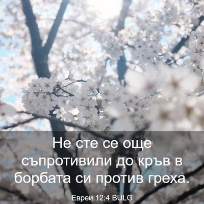 Picture 03 - Евреи 12:4 BULG - Не сте се още съпротивили - Bible Verse Picture