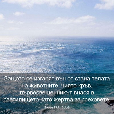 Picture 03 - Евреи 13:11 BULG - Защото се изгарят вън от - Bible Verse Picture