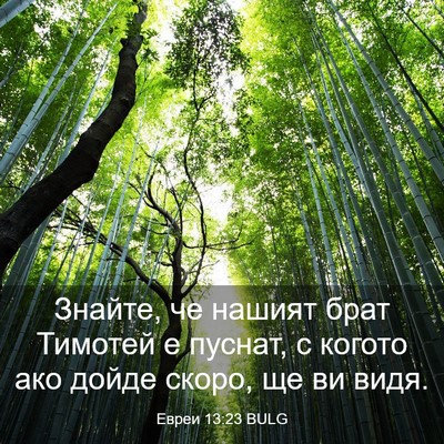 Picture 03 - Евреи 13:23 BULG - Знайте, че нашият брат - Bible Verse Picture
