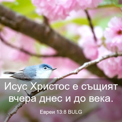 Picture 03 - Евреи 13:8 BULG - Исус Христос е същият - Bible Verse Picture