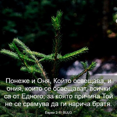 Picture 03 - Евреи 2:11 BULG - Понеже и Оня, Който - Bible Verse Picture
