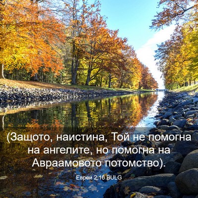 Picture 03 - Евреи 2:16 BULG - (Защото, наистина, Той не - Bible Verse Picture
