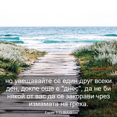 Picture 03 - Евреи 3:13 BULG - но увещавайте се един друг - Bible Verse Picture