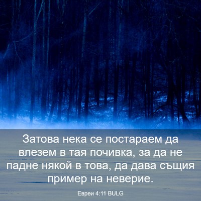 Picture 03 - Евреи 4:11 BULG - Затова нека се постараем - Bible Verse Picture