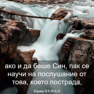 Picture 03 - Евреи 5:8 BULG - ако и да беше Син, пак се - Bible Verse Picture