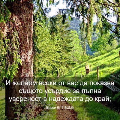 Picture 03 - Евреи 6:11 BULG - И желаем всеки от вас да - Bible Verse Picture