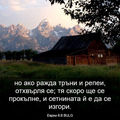 Picture 03 - Евреи 6:8 BULG - но ако ражда тръни и репеи, - Bible Verse Picture