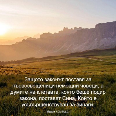 Picture 03 - Евреи 7:28 BULG - Защото законът поставя за - Bible Verse Picture