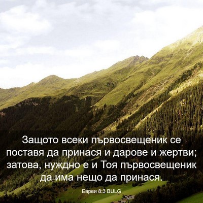 Picture 03 - Евреи 8:3 BULG - Защото всеки - Bible Verse Picture