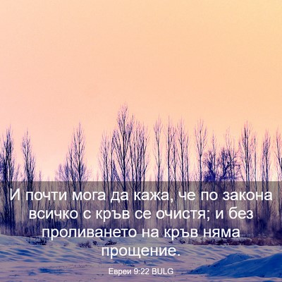 Picture 03 - Евреи 9:22 BULG - И почти мога да кажа, че по - Bible Verse Picture