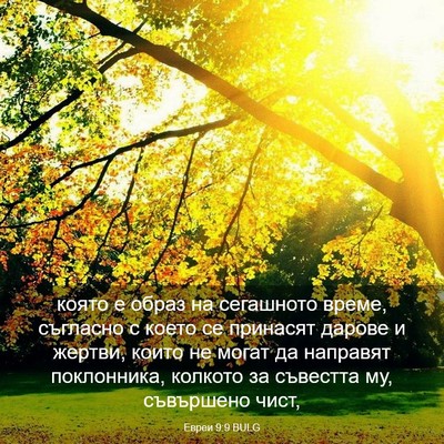 Picture 03 - Евреи 9:9 BULG - която е образ на сегашното - Bible Verse Picture