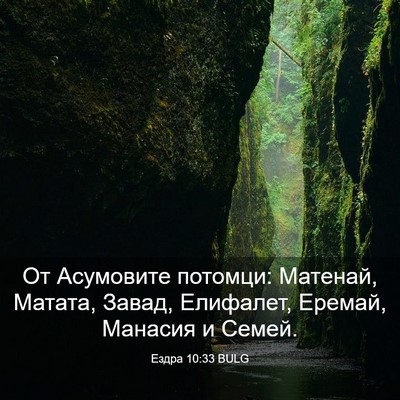 Picture 03 - Ездра 10:33 BULG - От Асумовите потомци: - Bible Verse Picture