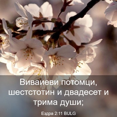 Picture 03 - Ездра 2:11 BULG - Виваиеви потомци, - Bible Verse Picture