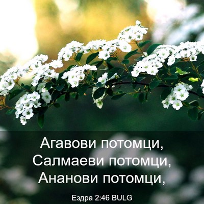 Picture 03 - Ездра 2:46 BULG - Агавови потомци, Салмаеви - Bible Verse Picture