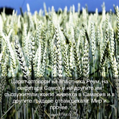 Picture 03 - Ездра 4:17 BULG - Царят отговори на - Bible Verse Picture