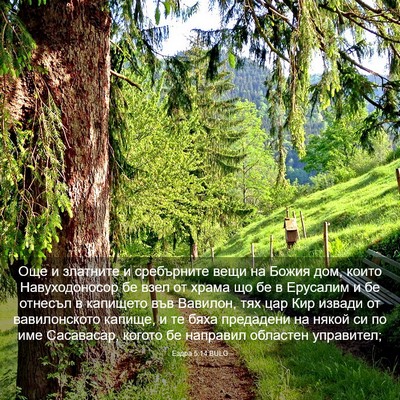 Picture 03 - Ездра 5:14 BULG - Още и златните и - Bible Verse Picture