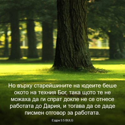 Picture 03 - Ездра 5:5 BULG - Но върху старейшините на - Bible Verse Picture