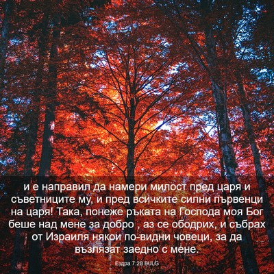 Picture 03 - Ездра 7:28 BULG - и е направил да намери - Bible Verse Picture