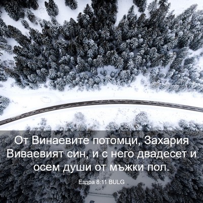 Picture 03 - Ездра 8:11 BULG - От Винаевите потомци, - Bible Verse Picture