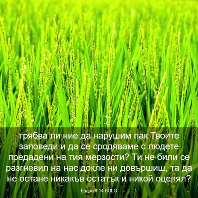 Picture 03 - Ездра 9:14 BULG - трябва ли ние да нарушим - Bible Verse Picture