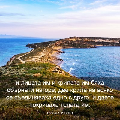 Picture 03 - Езекил 1:11 BULG - и лицата им и крилата им - Bible Verse Picture