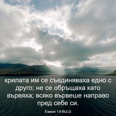 Picture 03 - Езекил 1:9 BULG - крилата им се съединяваха - Bible Verse Picture