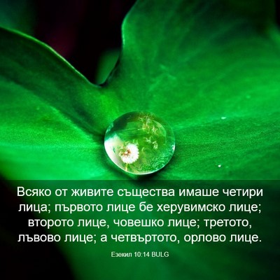 Picture 03 - Езекил 10:14 BULG - Всяко от живите същества - Bible Verse Picture