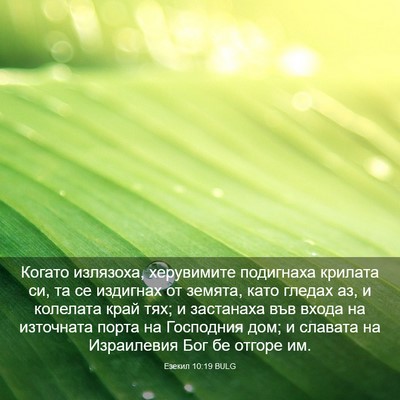Picture 03 - Езекил 10:19 BULG - Когато излязоха, - Bible Verse Picture