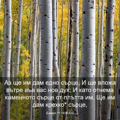 Picture 03 - Езекил 11:19 BULG - Аз ще им дам едно сърце, И - Bible Verse Picture