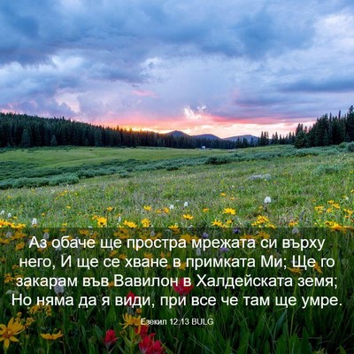 Picture 03 - Езекил 12:13 BULG - Аз обаче ще простра - Bible Verse Picture