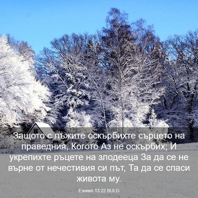 Picture 03 - Езекил 13:22 BULG - Защото с лъжите оскърбихте - Bible Verse Picture