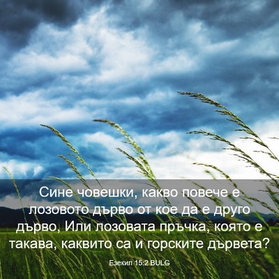 Picture 03 - Езекил 15:2 BULG - Сине човешки, какво повече - Bible Verse Picture