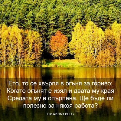 Picture 03 - Езекил 15:4 BULG - Ето, то се хвърля в огъня за - Bible Verse Picture