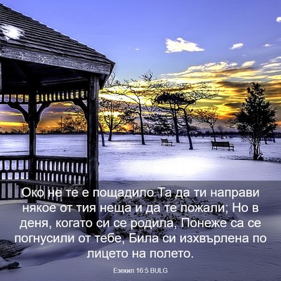 Picture 03 - Езекил 16:5 BULG - Око не те е пощадило Та да - Bible Verse Picture