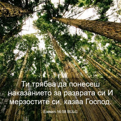 Picture 03 - Езекил 16:58 BULG - Ти трябва да понесеш - Bible Verse Picture
