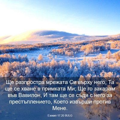 Picture 03 - Езекил 17:20 BULG - Ще разпростра мрежата Си - Bible Verse Picture