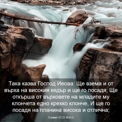 Picture 03 - Езекил 17:22 BULG - Така казва Господ Иеова: Ще - Bible Verse Picture