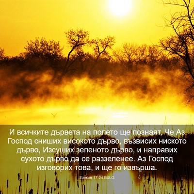 Picture 03 - Езекил 17:24 BULG - И всичките дървета на - Bible Verse Picture
