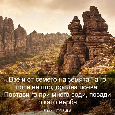 Picture 03 - Езекил 17:5 BULG - Взе и от семето на земята - Bible Verse Picture