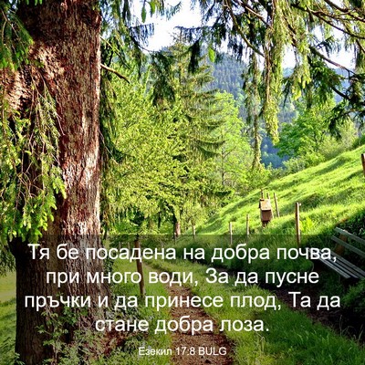 Picture 03 - Езекил 17:8 BULG - Тя бе посадена на добра - Bible Verse Picture