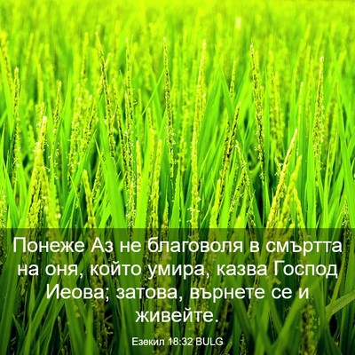 Picture 03 - Езекил 18:32 BULG - Понеже Аз не благоволя в - Bible Verse Picture