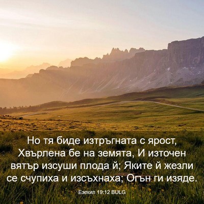 Picture 03 - Езекил 19:12 BULG - Но тя биде изтръгната с - Bible Verse Picture