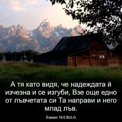 Picture 03 - Езекил 19:5 BULG - А тя като видя, че - Bible Verse Picture