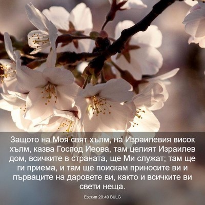 Picture 03 - Езекил 20:40 BULG - Защото на Моя свят хълм, на - Bible Verse Picture