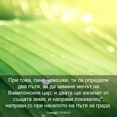 Picture 03 - Езекил 21:19 BULG - При това, сине човешки, ти - Bible Verse Picture