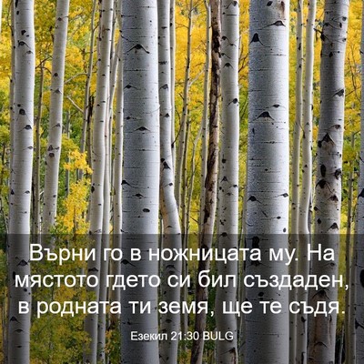 Picture 03 - Езекил 21:30 BULG - Върни го в ножницата му. На - Bible Verse Picture