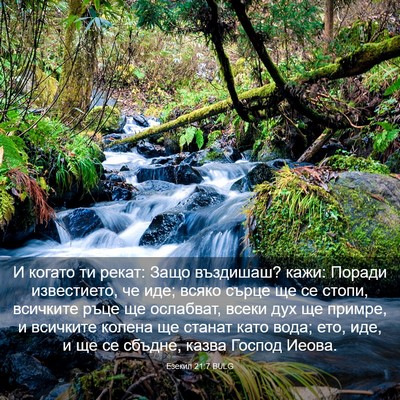 Picture 03 - Езекил 21:7 BULG - И когато ти рекат: Защо - Bible Verse Picture