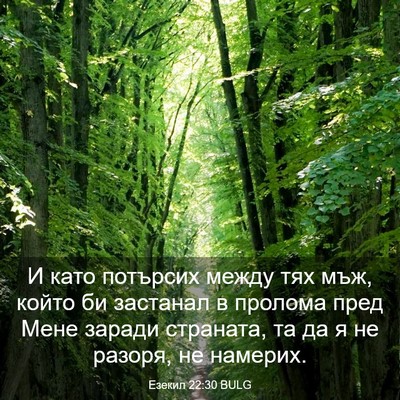 Picture 03 - Езекил 22:30 BULG - И като потърсих между тях - Bible Verse Picture